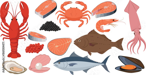 Seafood and fish collection featuring fresh lobster crab shrimp squid oysters and salmon fillets for restaurant menu healthy organic food vector design.