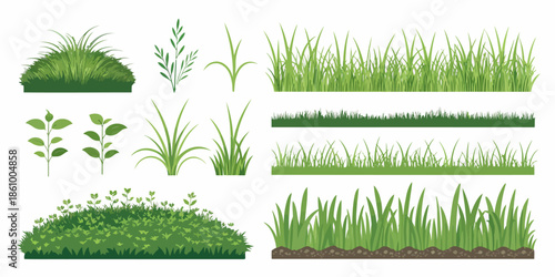 Various green grass and plant illustrations for design