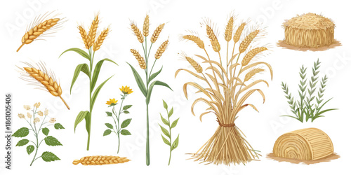 Harvested wheat and plants in a rustic setting