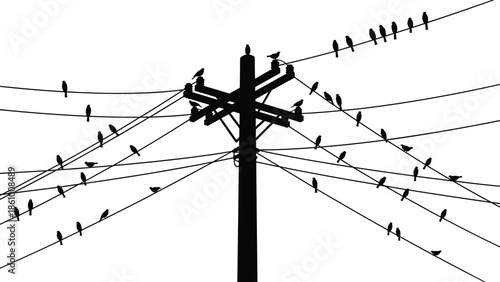Birds sitting on electricity power lines, utility pole silhouette with perched birds, wildlife on wires, urban nature scene, energy infrastructure illustration