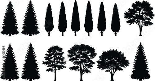 Collection of various tree silhouettes, pine and cypress shapes, forest nature elements, black botanical illustration, landscape design resources for projects