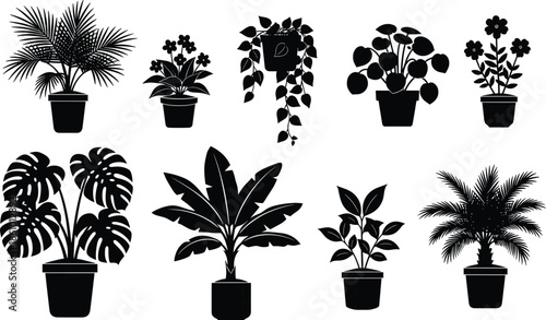 indoor house plants silhouette collection, potted tropical leaves, botanical decoration set, home garden greenery, black vector plant icons bundle illustration design elements