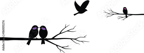 romantic birds sitting on tree branches silhouette, flying bird in sky illustration, love nature wildlife scene vector, black creative artwork design concept