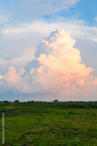 Wide grassland stretches toward the horizon as a massive cloud glows during sunset, blending soft light and open space to create a calm landscape that reflects natural scale and evening atmosphere.