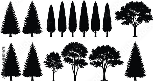 tree silhouettes collection, evergreen pine and cypress trees, deciduous forest landscape elements, natural black tree shapes, botanical nature illustration set