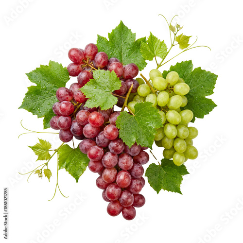 Fresh red and green grapes bunch with leaves isolated PNG.