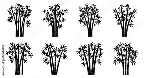 A collection of detailed bamboo stalks and leaves presented in a striking black silhouette