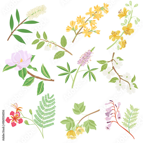 vector drawing set of tree branches with flowers and green leaves isolated at white background, hand drawn illustration