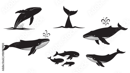 A collection of diverse black whale silhouettes illustrating various marine life poses and actions