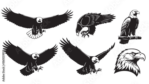 A collection of bald eagle illustrations showcasing various powerful poses and profiles
