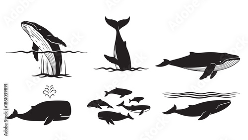 Diverse whale and fish silhouettes showcasing marine life in various dynamic poses