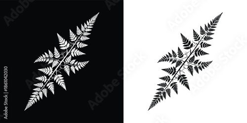 Elegant fern frond silhouette isolated on white background, showcasing intricate leaf details and botanical beauty for natureinspired designs and patterns