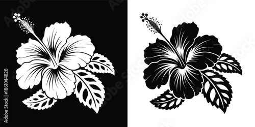 A captivating black and white vector illustration of a hibiscus flower, showcasing its intricate details isolated on white background