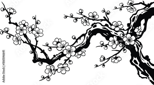 Plum blossom branch vector, Lunar New Year celebration.