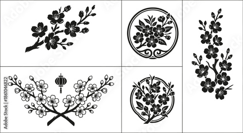 Vietnamese Apricot Blossom Branches for Tet Vector