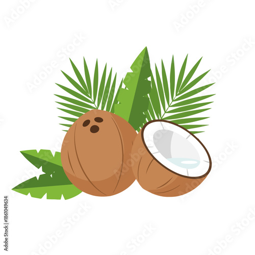 Fresh Coconut Halved with Green Palm Leaves Illustration, Tropical Fruit