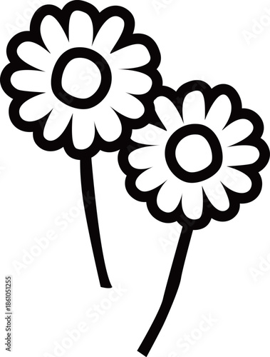 満開のデイジーの花2本のアウトライン白黒線画イラスト カモミールやハーブ系のシンプルな花のイメージ　透明背景