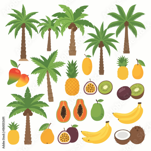 Tropical Fruits and Palm Trees Vector Set: Mango, Banana, Coconut, Pineapple, Papaya, Kiwi, Passion Fruit