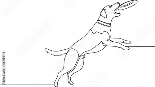 Dog jumping to catch frisbee in mid-air playfully