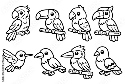 Black and white cartoon birds collection for kids' coloring activities