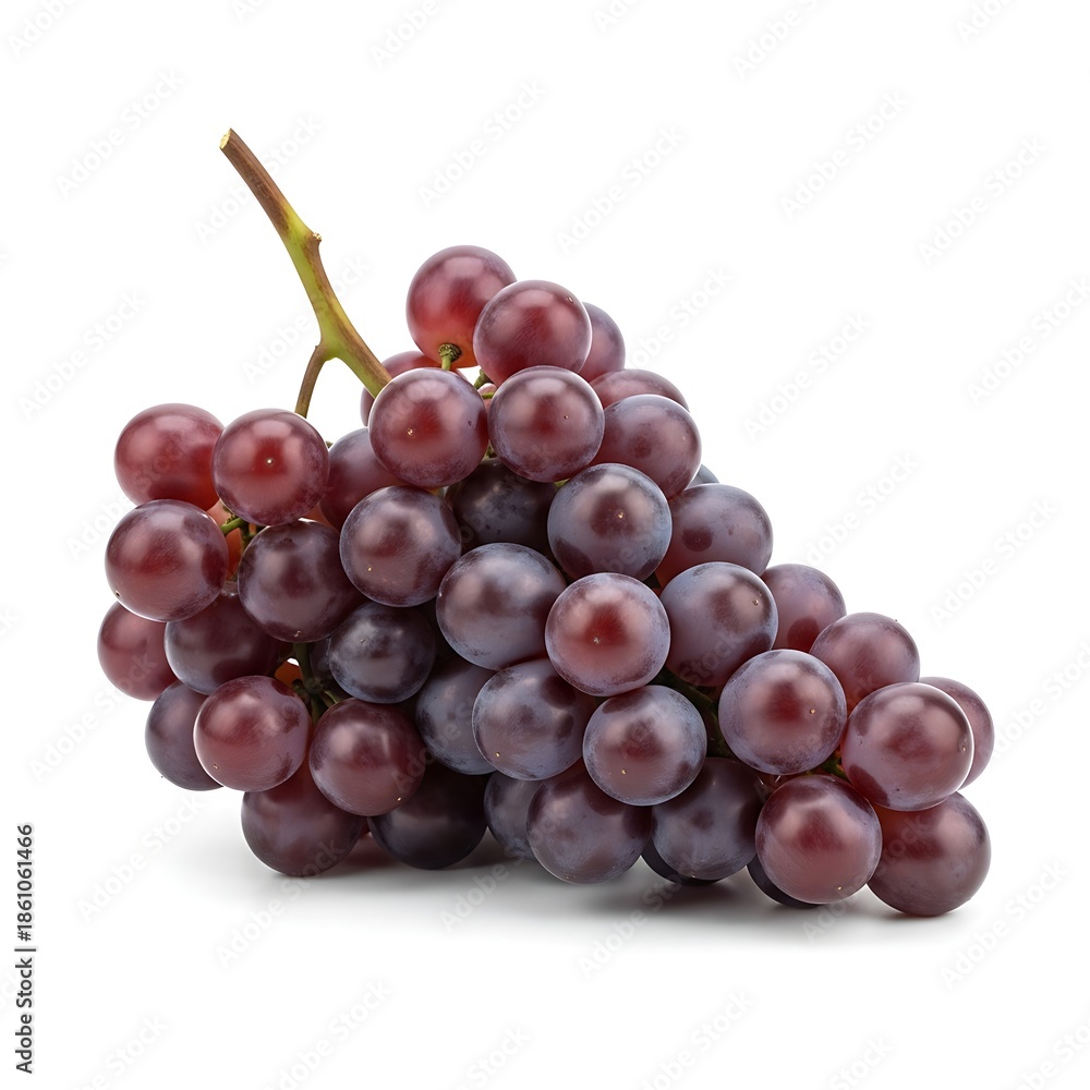 Fototapeta premium Fresh purple grapes on stem