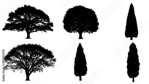Silhouettes of Various Trees Isolated on White Background