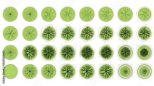 Lime Slices Arranged in Grid Pattern on White Background