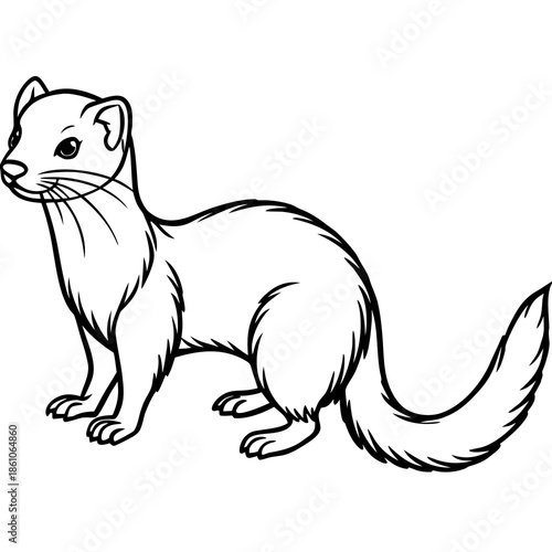 Exploring the Fascinating World of Ferrets and Their Behaviors exploring the fascinating world of