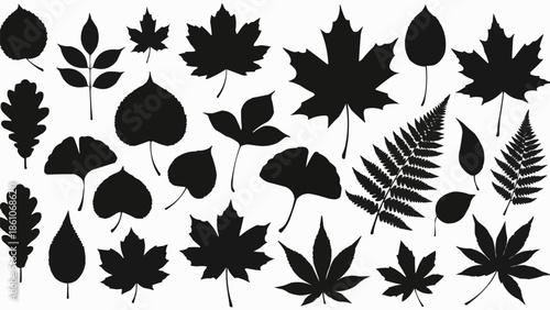 Collection of Black Silhouettes of Various Autumn Leaves.
