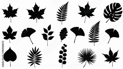 Collection of Black Silhouettes of Various Plant Leaves.