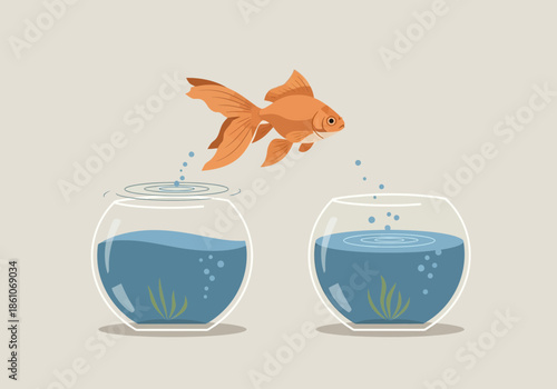 Goldfish leaping from one fishbowl to another.