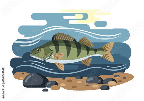 Fish swimming in water with rocks and sun.