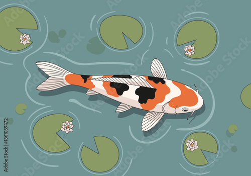 A colorful koi fish swims among lily pads in a pond.