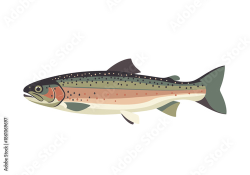 A rainbow trout swims with its body angled slightly upwards.