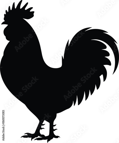 Rooster silhouette illustration, farm animal profile, standing chicken cock shape, rural agriculture icon, black vector art isolated white background design