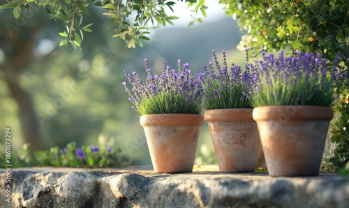 Rustic garden scene with lavender pots arranged neatly on a stone ledge, soft afternoon light highlighting natural textures and rich tones, perfect for outdoor decor inspiration,