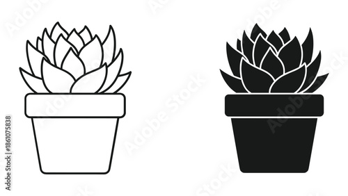 Succulent plant in pot vector illustration