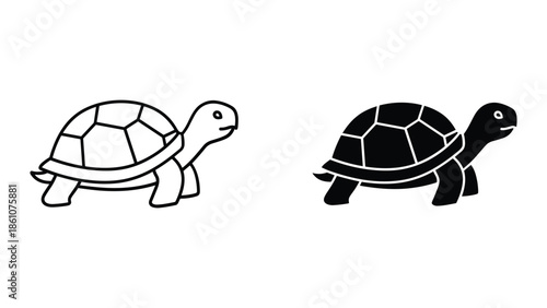 Tortoise illustration with different fill styles