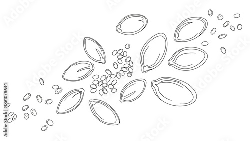 A scatter of various seeds, including small sesame-like seeds and larger oval-shaped seeds, arranged in an artistic composition on a white background