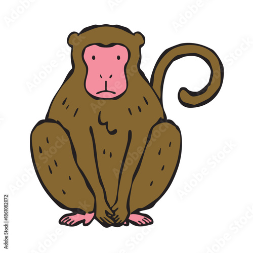 座っている猿　サル　さる