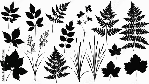 Collection of black silhouette plant leaves and ferns.