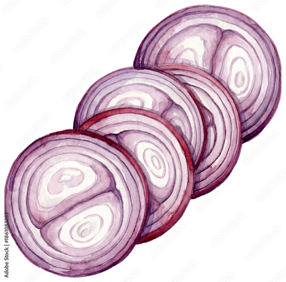 Fototapeta premium illustration watercolor painting of sliced shallots isolated background.
