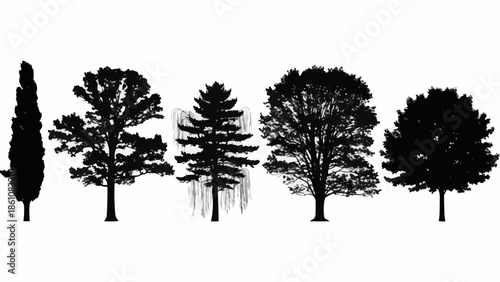 Collection of diverse tree silhouettes against a white background.