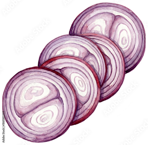 illustration watercolor painting of sliced shallots isolated background.