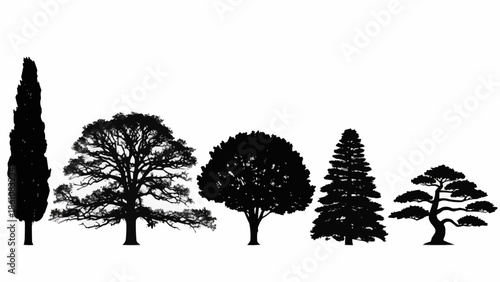 Collection of diverse tree silhouettes against a white background.