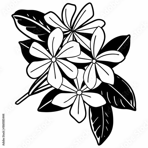 black and white flower
