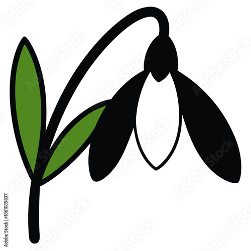 vector illustration of a snowdrop flower