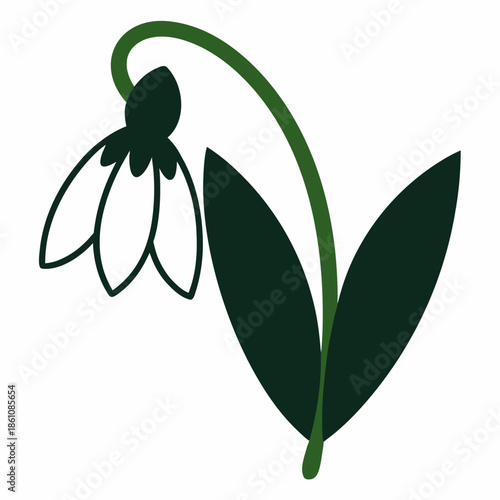 snowdrop flower silhouette on white