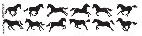  set of silhouettes of horses running