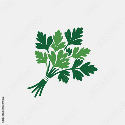 green parsley isolated on white
